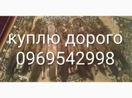 Зображення для оголошення Принімаю шкіри з куниці лиса