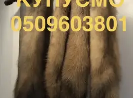 Зображення для оголошення Купуємо по усій Україні шкури шкіри куниці