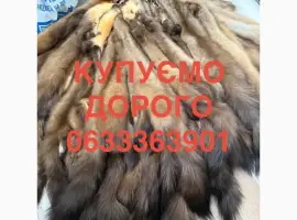 Зображення для оголошення Купимо куницю шкіри дорого