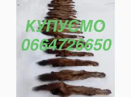 Зображення для оголошення Купуємо куплю куницю куниці шкури. Шкіри