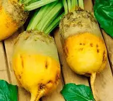 Зображення для оголошення Продам кормовий буряк, самовивіз