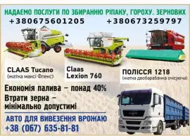 Зображення для оголошення Збирання зернових