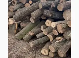 Дрова Луцьк – продаж та доставка дров у Луцьку та Волинській області