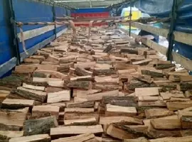 Зображення для оголошення Продам рубані соснові дрова