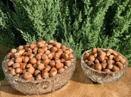 Зображення для оголошення Фундук (горіхи) hazelnuts