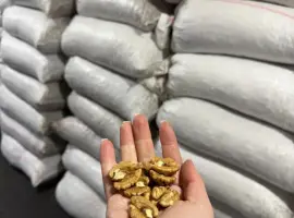 Зображення для оголошення Грецкий Орех . 1,2,3 укр