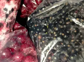 Зображення для оголошення Продам смородину замороженную