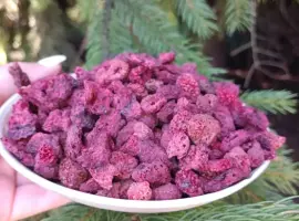 Зображення для оголошення Суха,сушена малина ЛІСОВА, лесная ягода малина