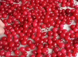 Зображення для оголошення Продам клюкву - журавлину світленька