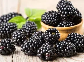 Зображення для оголошення Продам ожину