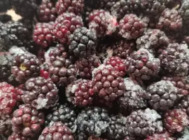 Зображення для оголошення Заморожені порічка, малина, ожина.