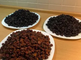 Зображення для оголошення Сушена ягода жовтої черешні, вишні, яблука