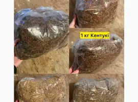 Зображення для оголошення Свіжий Табак Вірджинія
