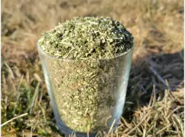 Зображення для оголошення Махорочка гарна