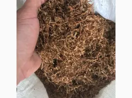 Зображення для оголошення Продам ТЮТЮН