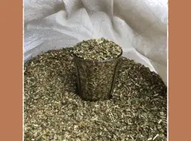 Зображення для оголошення Махорка прста сільська