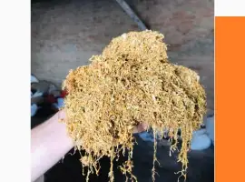 Зображення для оголошення Тютюн лапшою короткою домашній не прілий Берлі і Вірджінія без хімії