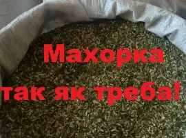 Зображення для оголошення Махорка 490 грн