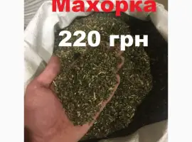 Зображення для оголошення Махорка крепкая и пахучая