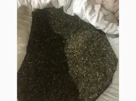 Зображення для оголошення Табак самосад домашній давай сюда ! махорка наша сільська