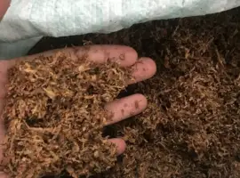 Зображення для оголошення Руно