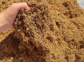 Зображення для оголошення Продам якісний тютюн без сміття