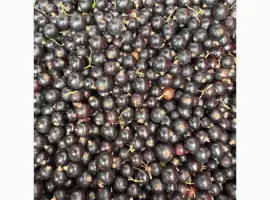 Зображення для оголошення Продам морожену чорну смородину