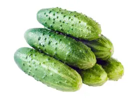 Зображення для оголошення Купим огурец