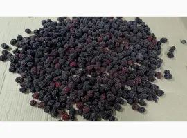 Зображення для оголошення Продам ожину культивовану. Свіжоморожена