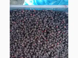 Зображення для оголошення Продам ожину заморожену опт