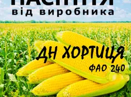 Насіння кукурудзи ДН Хортиця ФАО 240 / від виробника Agro_Exprt