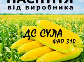 Насіння кукурудзи ДС Сула ФАО 310 / від виробника Agro_Exprt