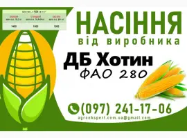 Насіння кукурудзи 2025 - гібрид ДБ Хотин (ФАО 280) від виробника
