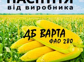 Насіння кукурудзи ДБ Варта ФАО 280 / від виробника Agro_Exprt