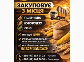 Закупаем зерно с поля / хозяйства – пшеница
