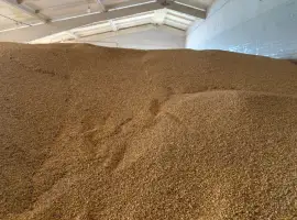 Зображення для оголошення Продам кукурудзу