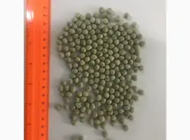 Зображення для оголошення Закуповуємо горох насипом Ф2
