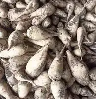 Зображення для оголошення Продам буряк кормовий.