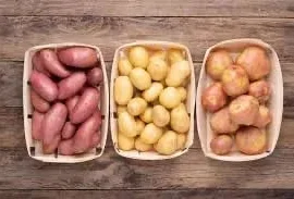 Зображення для оголошення Семенной картофель Ривьера , Мирослава, Гранада