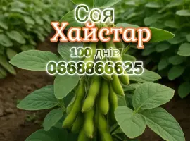 Зображення для оголошення Купити насіння сої під раундап
