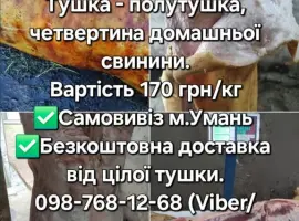 Зображення для оголошення Тушка, свинини, баранини,ягнятини, курятини