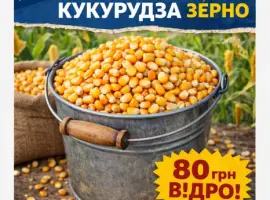 Зображення для оголошення Продажа кукурудзи кормова