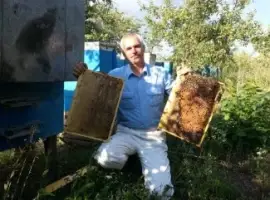 Продам бджолопакети