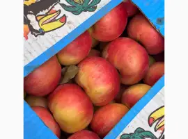 Зображення для оголошення Продам яблука різних сортів