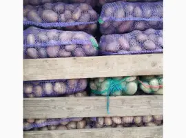 Зображення для оголошення Продам товарну картоплю