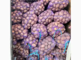 Зображення для оголошення Продам велику картоплю