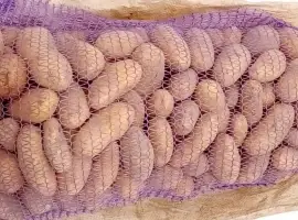 Продам картошку