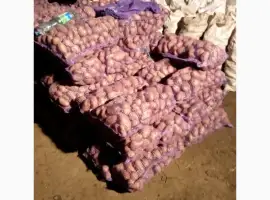 Зображення для оголошення Продам домашню картоплю