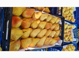Зображення для оголошення Продам грушу сорт яблунівська