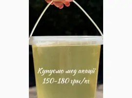 Зображення для оголошення Купуємо мед Акації-2025